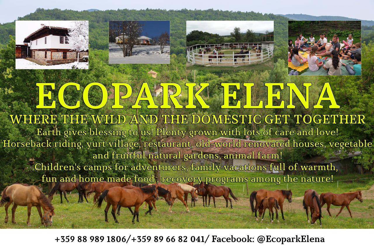 Ecopark Elena Ngoại thất bức ảnh
