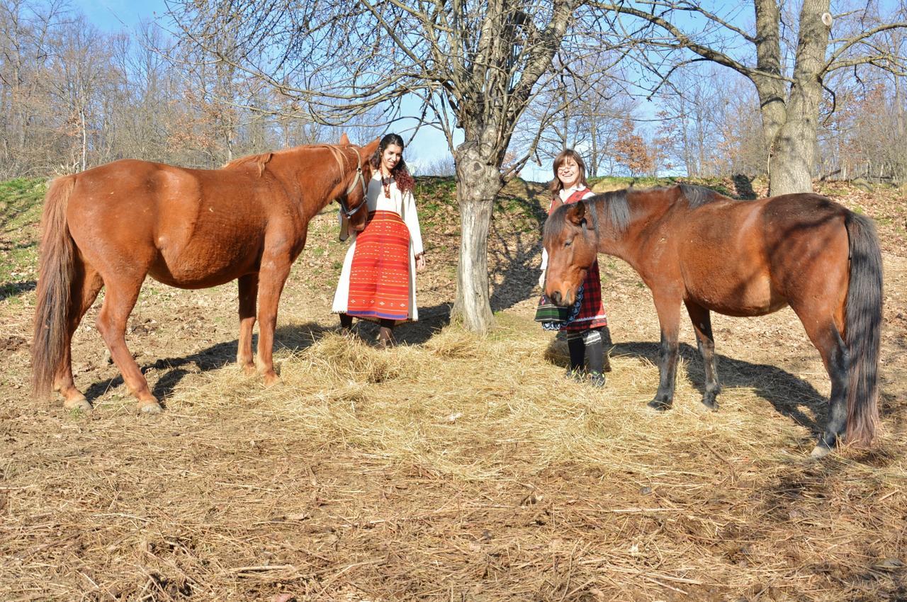 Ecopark Elena Ngoại thất bức ảnh