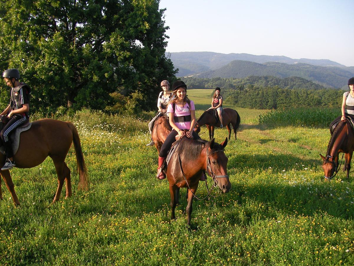 Ecopark Elena Ngoại thất bức ảnh
